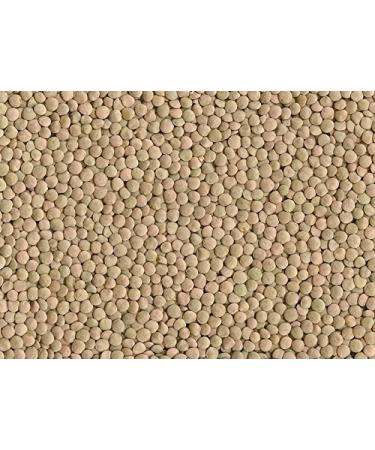 Global Choice Brown Lentils 4 Lbs - Buy Online on GoSupps.com