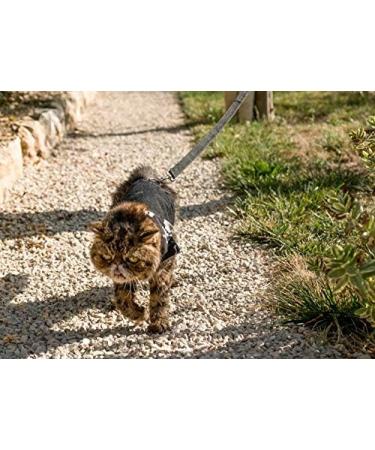 Mynwood Cat Jacket/Harness Black Denim Adult Cat black adult - Buy Online on GoSupps.com