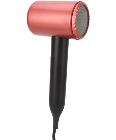 Professional Ionic Hair Dryer 1800W Fast Drying Low Noise Blow Dryer with Ion Technology 2 Nozzles for Home Salon Travel (US Plug 100 to 240V 110V) - Buy Online on GoSupps.com