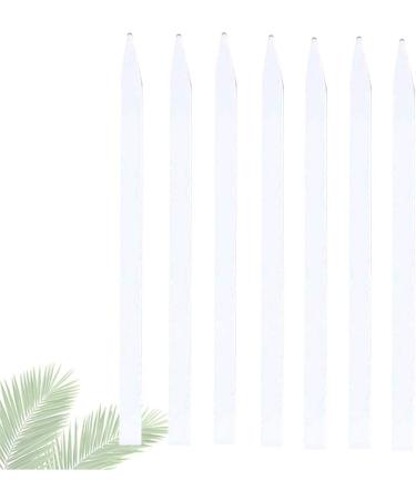 Healifty Aromatherapy Test Strips - Essential Oils Test Paper (100 Pcs) for Home and Professional Use | Shop Internationally - Buy Online on GoSupps.com