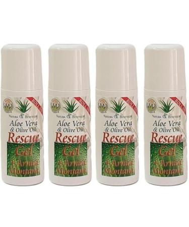 Adieu la douleur Gel aloe vera arnica Roll On ingr dients naturels Soulagement de la douleur Articulations muscles bosses contusions piq res d'insectes adapt aux enfants anti-inflammatoire