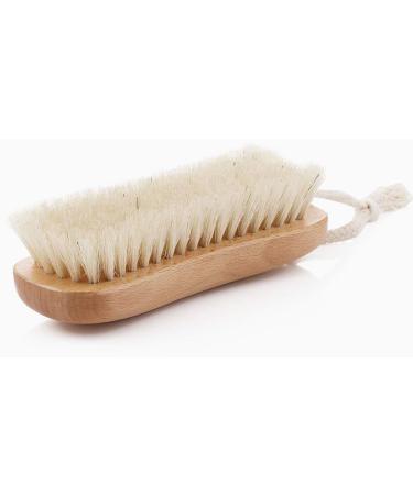 HEALIFTY Natural Beech Bristle Scrub Brush Household Laundry Brush Washing Clothes Brush Shoes Wash Brush - Buy Online on GoSupps.com