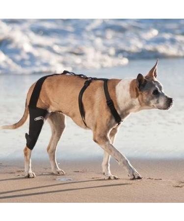 Walkabout canine knee brace (Medium Left) - Buy Online on GoSupps.com