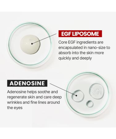 Buy Regenerative Schild Ampoule | Anti-Aging Facial Serum - Nourishing Brightening & Soothing for All Skin Types - 1.69 fl oz - Buy Online on GoSupps.com