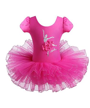 BAOHULU Leotard for Girls Ballet Dance Short Sleeve Full Tulle Tutu Skirted Dress Ballerina Costumes Hotpink Flower 5-6 Years