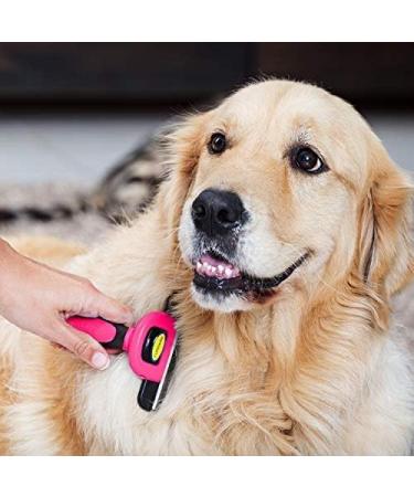 Dakpets Dog Brush | Professional Undercoat Brush for Dogs & Cats | Stainless Steel Long-Haired Pet Grooming Tool | Perfect for Pink-Loving Pet Owners - Buy Online on GoSupps.com