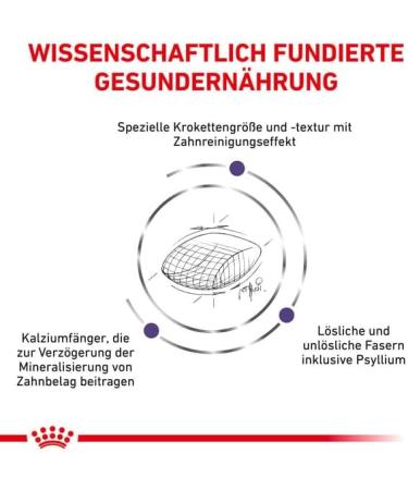 Royal Canin Cat Food Veterinary Dental DS0 29 - Buy Online on GoSupps.com