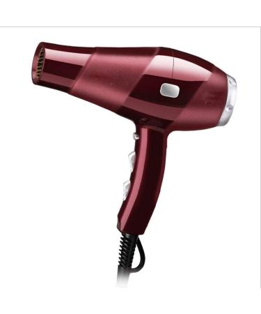 ADITAM Hair Dryer Nano Ionic Blow Dryer Professional Salon Hair Blow Dryer Lightweight Fast Dry Low Noise with Concentrator Diffuser /B Double The Comfort