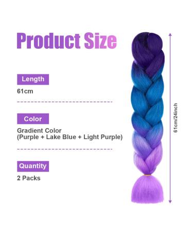 Shop Aomig Ombre Braids Extensions - 2PC Synthetic Hair for Box Braids | 24 Strands - Purple Light Violet Seaside Blue - Buy Online on GoSupps.com