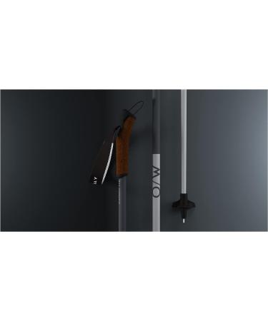 Fischer Nordic Skiing Lightweight Diamond ALC Grey/Asphalt Poles 125 cm | High-Performance - Buy Online on GoSupps.com