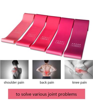LOLROO Resistance Bands Skin-Friendly Resistance Fitness Exercise Loop Bands Non-Slip Elastic Loop Workout Bands for Home Gym Strength Pilates Yoga and Stretch - Travel Carrying Case Included Purple-pink - Buy Online on GoSupps.com