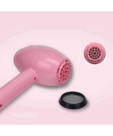 2100W Ionic Hair Dryer Salon Hairdryer Travel Hair dryer Blow Dryer 2 Speed Settings Constant Temperature Reduce Frizz and Static Suitable DC Motor Concentrator for Salon and Home Travel Pink - Buy Online on GoSupps.com