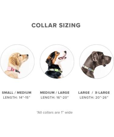 Whistle GO/GO Explore/Twist & Go Pet Collar M - Neck 16-20, Strap width 1, See Me Green - Buy Online on GoSupps.com