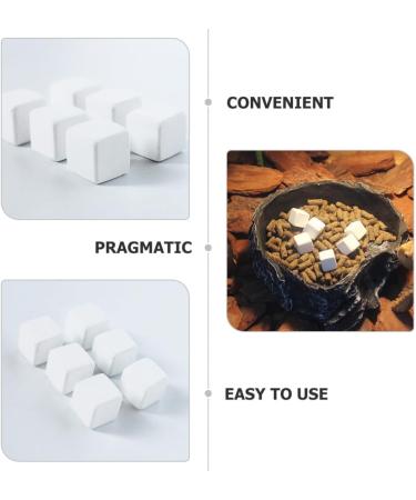 SEWACC 6pcs Reptile Blocks Fish Tank Substrate Natural Minerals Supplement Cubes for Turtles Reptiles - Buy Online on GoSupps.com
