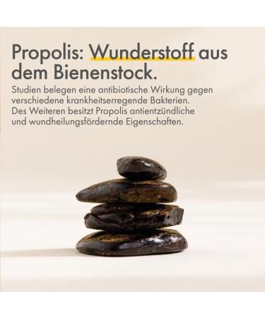 Propolis PUR Lip Care - Natural Lipstick for Dry and Inflamed Lips - Certified Controlled Natural Cosmetics - Buy Online on GoSupps.com