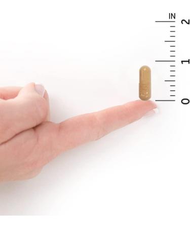 Garden of Life RAW Probiotics Vaginal Care - 30 Vegetarian Capsules for Women's Health - Buy Online on GoSupps.com