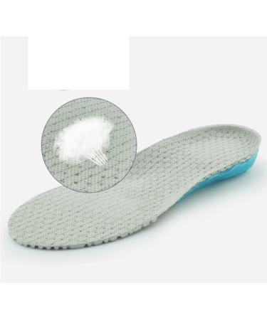 CSCDD Spring Cushioning Sports Military Training Insole - Sweat Absorbing Breathable Comfort (Size 43 - Buy Online on GoSupps.com