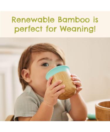 Munchkin Bamboo Open Cup 5oz - BPA Free Toddler Drinking Cup | Mint 360 Design | Weaning Cup for Babies 6 Months - Buy Online on GoSupps.com