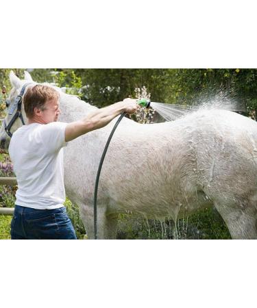 Aqueos Antibacterial Antiviral Antifungal Horse Shampoo - for Itchy Skin Minor-Wounds Cuts Grazes Skin Irritations & Sensitive Skin | Soothing & Deodorising Medicated Shampoo Alternative | 1L 1 l (Pack of 1) - Buy Online on GoSupps.com