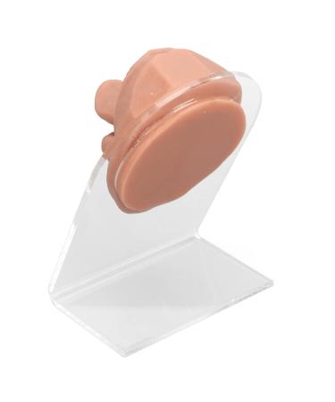 Soft Silicone Tongue Model with Acrylic Stand | Life-like Mouth Model for Jewelry & Piercing Practice | Ideal for Nursing Training - Meat Blonde - Buy Online on GoSupps.com