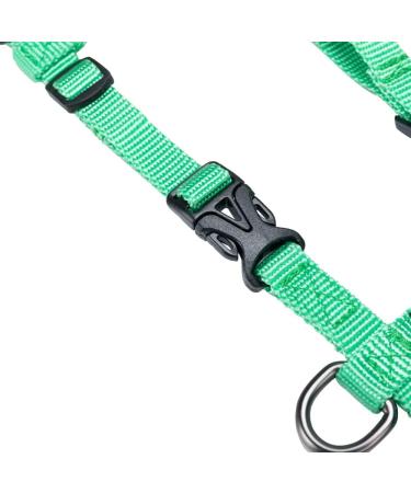 Adjustable Green Cat Dish - Excellent Elite Spanker for Small to Large Kittens | No Pull Pet Dishes - International Shipping Available - Buy Online on GoSupps.com