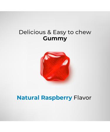 Glucosamine Gummies with Vitamin E - Joint Support Supplement | High Potency Antioxidant & Anti-Inflammatory | 60 Non-GMO Gluten-Free Raspberry Gummies - Buy Online on GoSupps.com