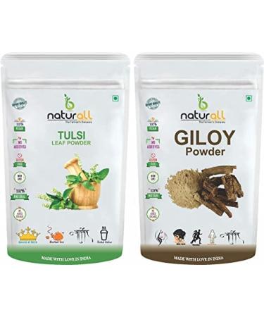 SHN Pack of 2 Tulsi Powder Giloy Powder (100 GM Each) Combo Pack 200 GM By B Naturall