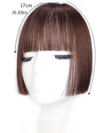 Bangs Hair Clip Synthetic Princess Cut Bangs Wig Female Bangs Hair Fake Bangs Natural Forehead Wig Piece Bangs Clip in Hair(Color:Dark brown) - Buy Online on GoSupps.com