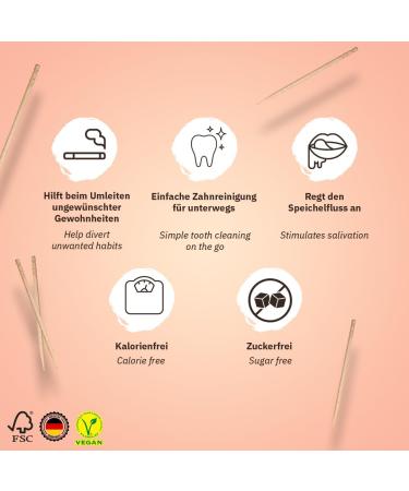 Wondered Toothpick Start Pack - 4 Flavored Vegan Toothpicks for Fresh Breath | Plastic-Free Chewing Gum for Smoking Cessation - Buy Online on GoSupps.com