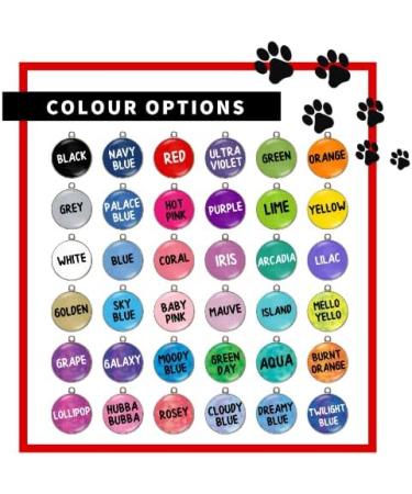 Indoor Cat ID Tag | Free Personalisation - Buy Online on GoSupps.com