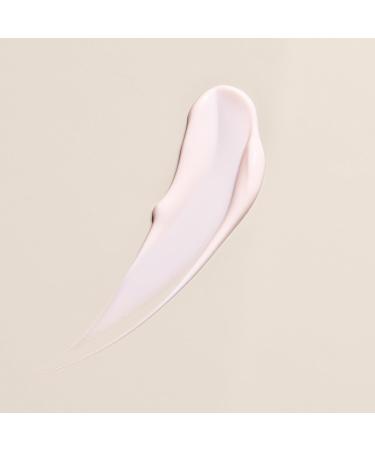 ANNEMARIE B RLIND NATUNEO System High Performance Refining Day Cream 50 ml Antiaging day cream for mature skin Protects the skin structure and intensively hydrates firms and refines - Buy Online on GoSupps.com