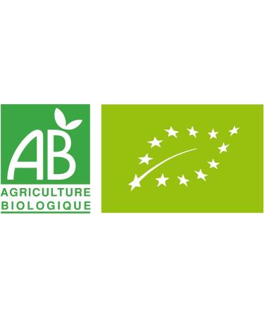  CAPSUL & BIO CAPSUL&BIO Green Tea Ginger Lemon Organic - Compatible with Nespresso Capsules - 10 Biodegradable Capsules - 100% Vegetable - Made in France - Buy Online on GoSupps.com