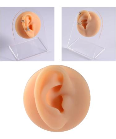 AMLESO Human Body Part Model Practical Soft Feelings Silicone Modeling Texture for Piercing Exercises Medical Home Demonstration Tool - Left Ear 7cm - Buy Online on GoSupps.com