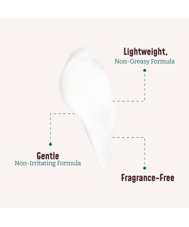 Bloom Collagen Firming Cream 15 Oz - Anti Aging Moisturizer for Face & Body with Aloe Vera - For Wrinkles, Sagging & Dry Skin - Women & Men - Buy Online on GoSupps.com