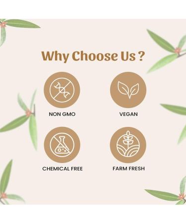  Neel Ayurvedics Neel Ayurvedics Anantmool Powder - 300 GM - Buy Online on GoSupps.com