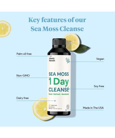 Atlantic Naturals Sea Moss 1 Day Cleanse - Full Body Detox for Kidney, Liver, Gut Health & Immune Support - Buy Online on GoSupps.com