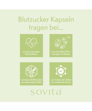 Sovita Blood Sugar Capsules - Cinnamon Bark Extract | Dietary Supplement | 120 Capsules for Optimal Blood Sugar Support - Buy Online on GoSupps.com