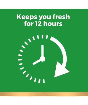 Irish Spring Bath Bar Soap Original 3.75oz 12 Count - Pack of 1 | Gentle & Refreshing Skin Cleanser - Buy Online on GoSupps.com