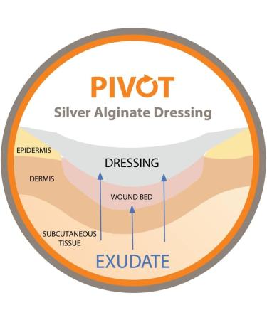 Pivot Silver Alginate Wound Dressing - Natural 2x2 First Aid Dressings | Box of 10 for Effective Healing - Buy Online on GoSupps.com