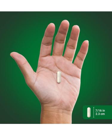 Piping Rock Boswellia Extract Capsules | 1200mg | 180 Count | Herbal Supplement | Standardized Complex | Non-GMO Gluten Free - Buy Online on GoSupps.com