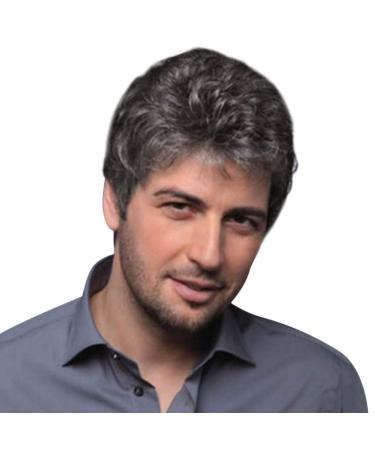 Ansenesna Wigs Brown Men Short Wig Man Afro Curls Short Hair Wig (Gray)