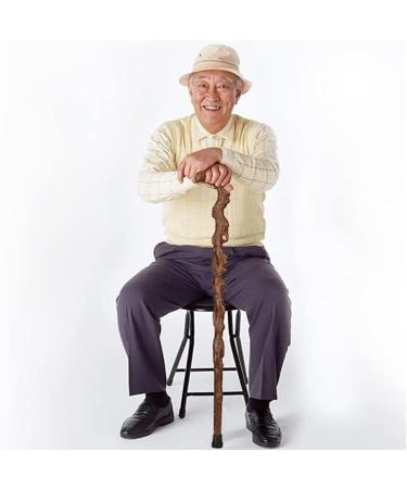 Crutch Mahogany Wood Wooden Wings Old Crutches Elderly Cane Retro New Year Birthday of Ganoderma lucidum WoodenCanes for Men and Women It's so Kind of You Safehappy - Buy Online on GoSupps.com