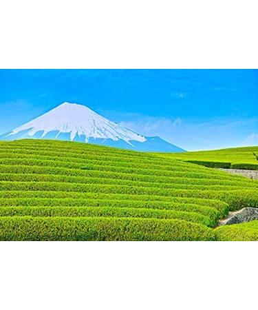 Organic Japanese Ceremonial Grade Matcha Green Tea Powder - 50g | Vegan | Antioxidant-Rich | Pure Botanical Ingredients - Buy Online on GoSupps.com