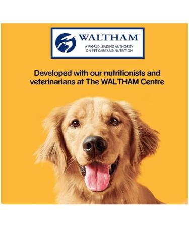 Pedigree Rodeo Dog Treats with Chicken 98 Sticks (Chicken) MS  - Buy Online on GoSupps.com