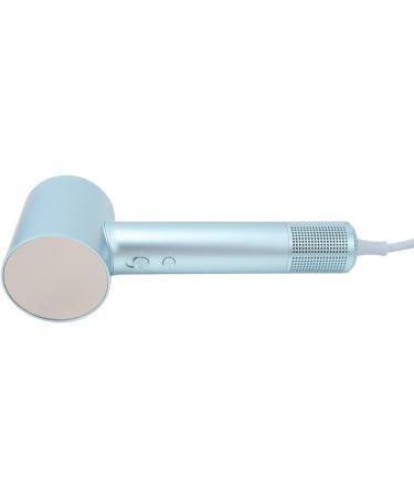 Negative Ion Hair Blower High Speed Silent Quick Drying Ionic Hair Dryer for Home (US Plug 110V) - Buy Online on GoSupps.com