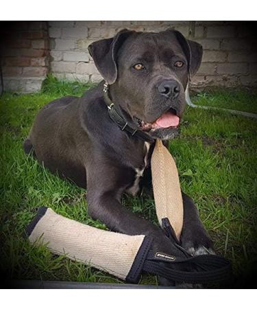 Dingo Gear Jute Bite Sausage 60x8 cm - IGP IPO Dog Training Toy with 2 Holders | International Shipping - Buy Online on GoSupps.com