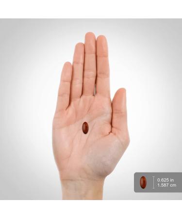 Piping Rock Sea Buckthorn Oil Capsules | 90 Softgels | Sea Buckthorn Berry Extract | with Omega-7 | Gluten Free Non-GMO - Buy Online on GoSupps.com