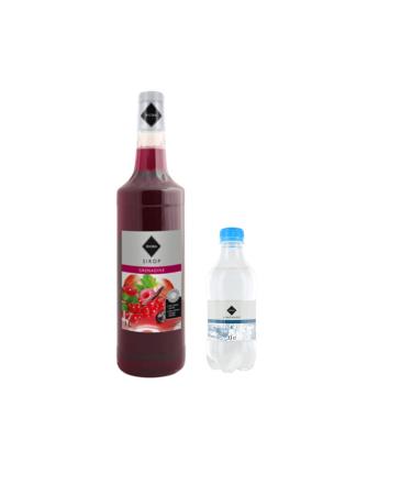 Wine And More Lot Syrup Gilbert & Lemonade: Gilbert Grenadine Syrup 1L - Gilbert Lemonade (12x33cl)