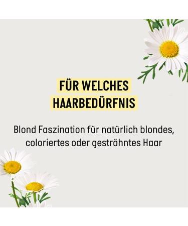 Guhl Ikebana Guhl Blonde Fascination Shampoo Contents 250 ml Hair type blonde bleached - Buy Online on GoSupps.com