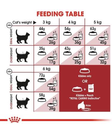 Royal Canin Fit Complete Dry Adult Cat Food 3 x 400g - Buy Online on GoSupps.com